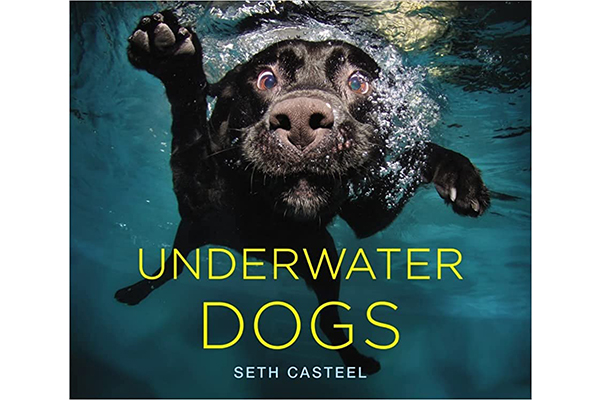 Underwater Dogs 水下小狗